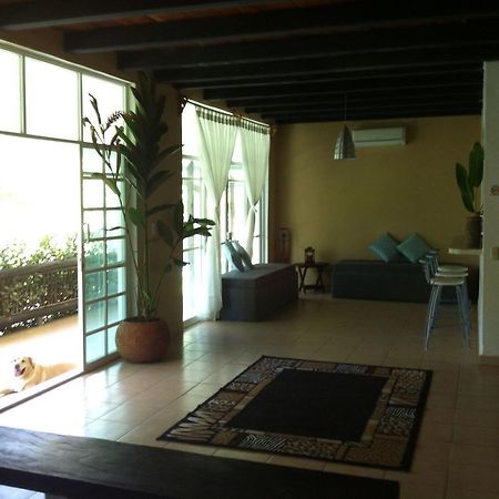 Casa Guacamaya Hotel Palenque Luaran gambar